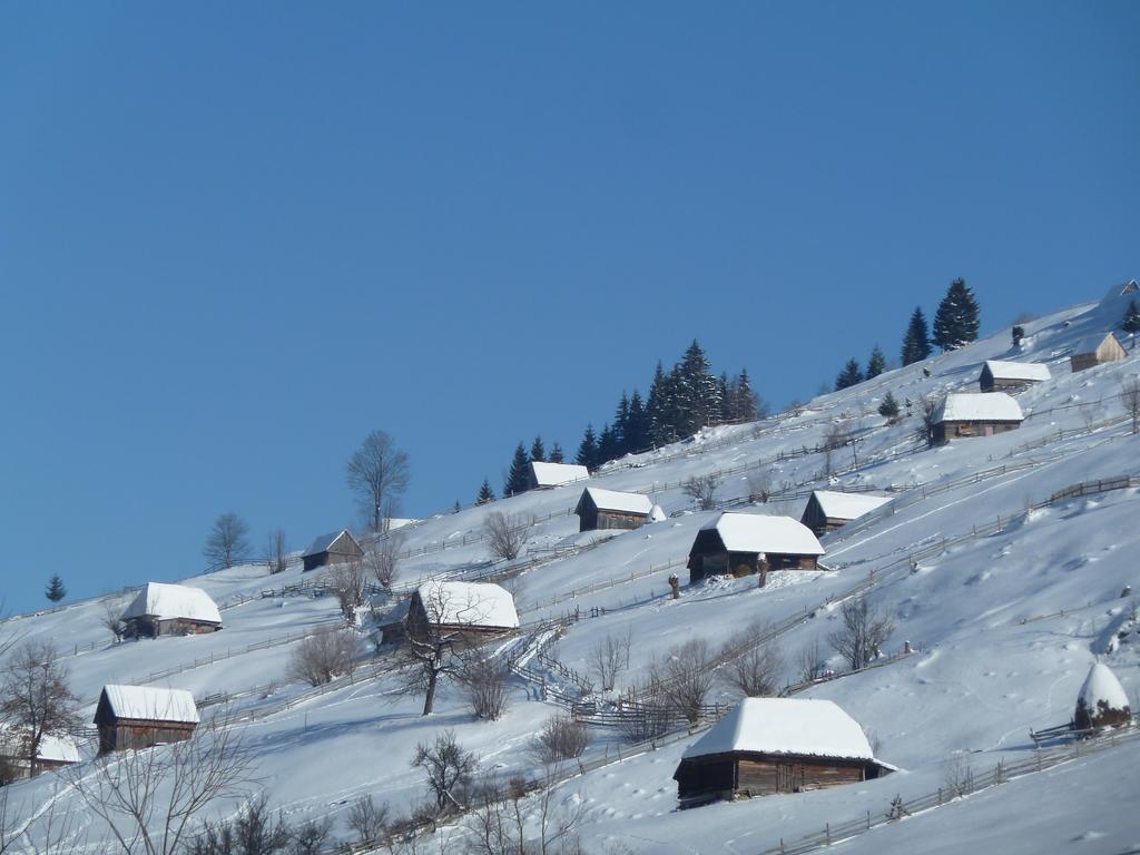 Ranger Chalet Moeciu De Sus Ruang foto
