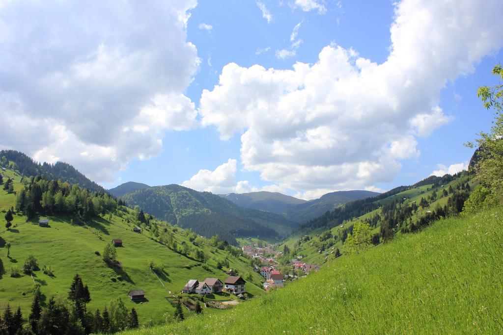 Ranger Chalet Moeciu De Sus Ruang foto